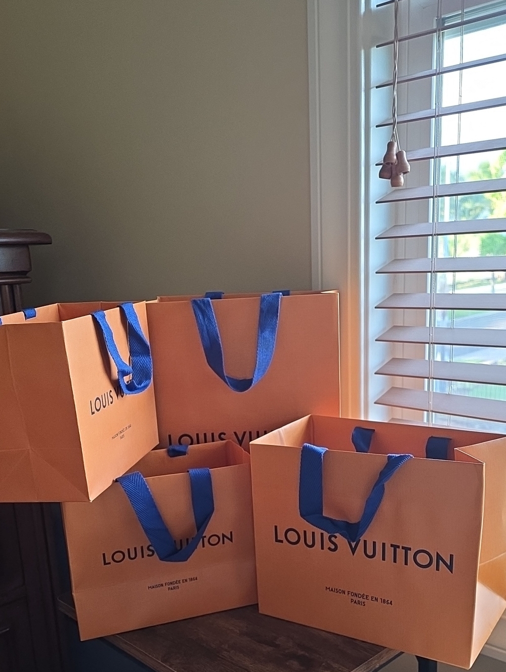 Louis Vuitton Gift Bags Bundle Of 4